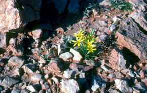 Slideshow Image 1